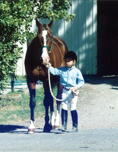 Girl leading a big horse