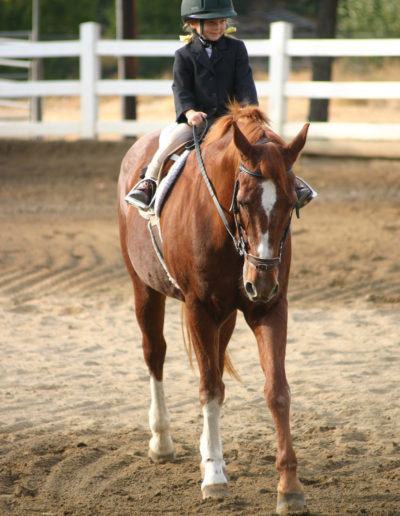 Little girl riding in a riding lesson